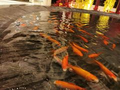 -巨华国际大酒店