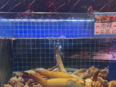 -厝包四点金·潮宴(太古仓店)