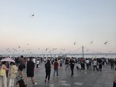 -星海湾跨海大桥