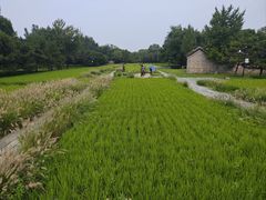 -北坞公园