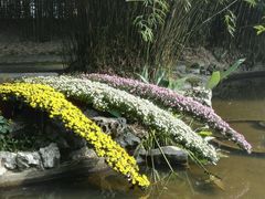 -汇龙潭