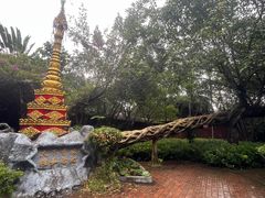 -瑞丽独树成林风景区