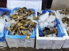 -渔人湾码头海鲜市场负二楼