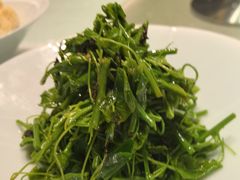 -马旺子酒楼