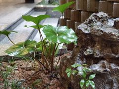 -安吉涵田度假村·水榭居中餐厅