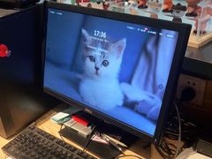 -比格比萨自助(万柳华联店)