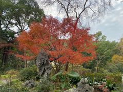 -上海醉白池公园