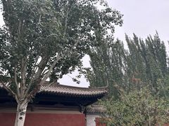-善化寺