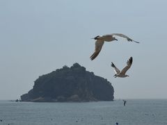 -棒棰岛宾馆景区
