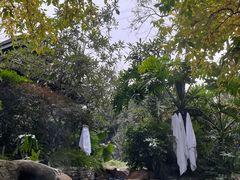 -融汇温泉