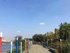 -长白岛森林公园