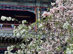 -潭柘寺景区
