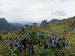 -秦岭风景区