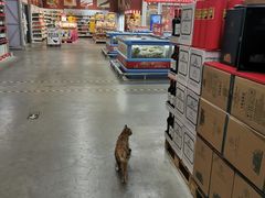 -麦德龙(京顺路商场店)