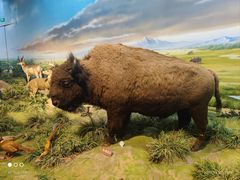 -陕西自然博物馆