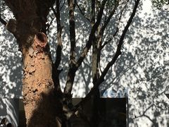 -华侨城创意文化园