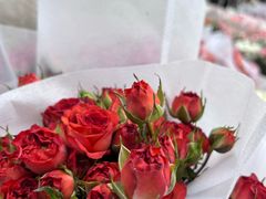 -循礼门鲜花花市(武汉循礼门店)