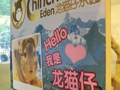 -龙猫仔乐园(惠福东路店)