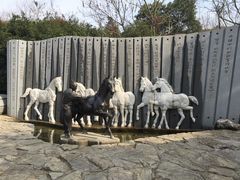 -白马涧龙池景区