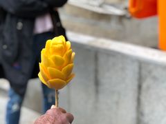 -国际邮轮中心码头(厦鼓码头)