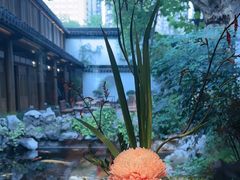 -鲤院·新中式美学·庭院餐厅(夫子庙店)