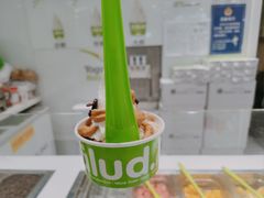 -Salud撒露欧洲冻酸奶(蓝色港湾店)