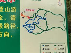 -田心森林公园