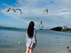-海驴岛(荣成市)