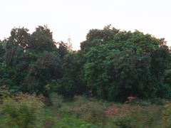 -张坝桂圆林公园
