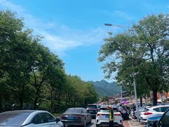-都江堰石锅鱼