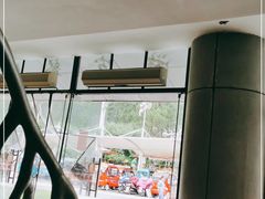 -合肥滨湖国家森林公园