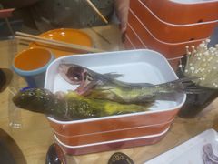 -铭记蛙小仙·活蛙畅享(CBD万达广场店)