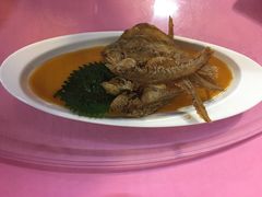 -丰收日(五角场店)