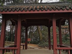 -西湖风景区十里琅珰-五云山
