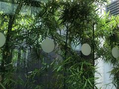 -星巴克(西湖天地店)