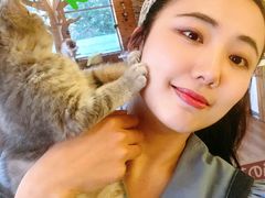 -猫的茶·猫咖