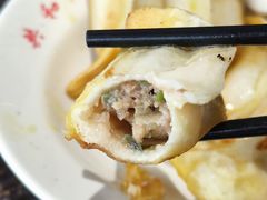 鲜肉锅贴-共和春(甘泉路店)