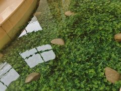 -上海虹桥迎宾馆