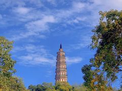 -顺峰山公园