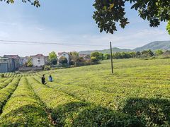 -敬亭山风景名胜区