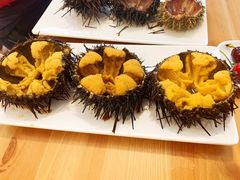 -海胆小馆(东北水饺·春柳店)