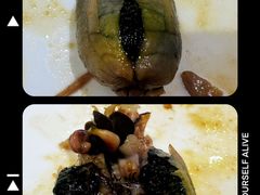 -吉林省林业宾馆-餐厅
