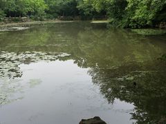 -海底捞火锅(航洋城店)