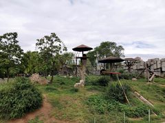 -石家庄市动物园