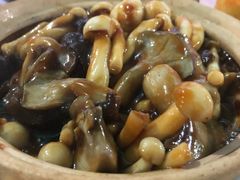 杂菌煲-淇沙湾渔村餐厅