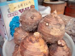 -溪口-滕头旅游景区