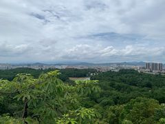 -聚龙山公园