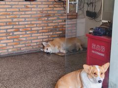 -茶米人台湾料理·精致快简餐