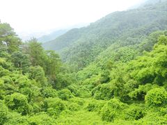 -缙云山景区