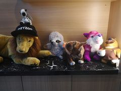 -ZOO COFFEE动物园咖啡(望京锐创店)